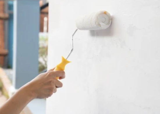Interior and Exterior Paints Image 1